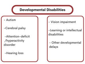 developmental disabilities include vision or hearing loss, ADHD, learning delays, other motor or cognitive delays